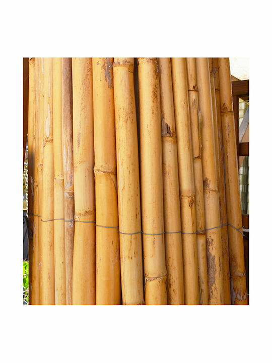 Showood Bambuszaun mit Ganzes Schilf 2.5x3m