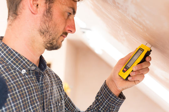 Stanley Digital Moisture Sensor with Probe 0-77-030
