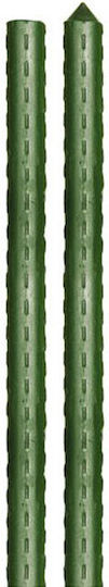 Grasher Plant Support Rod 16mmx180cm from Metal with Plastic Coating