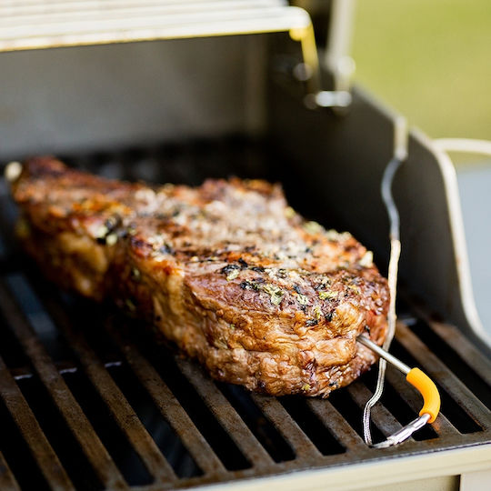 Weber iGrill Meat Probe Θερμόμετρο