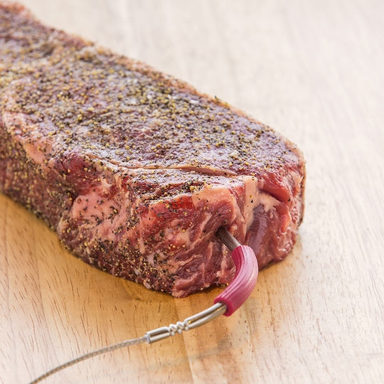Weber iGrill Meat Probe Θερμόμετρο