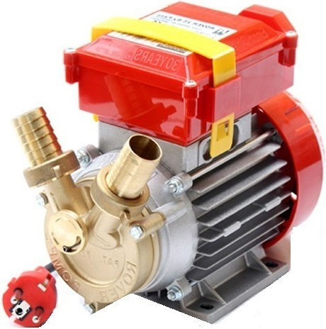 Rover Pompe Single Phase Transfer Pump with 1 - 1/2" Inlet and 1.2hp Horsepower
