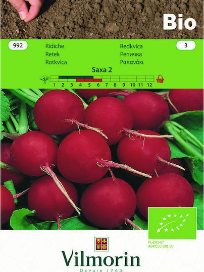 Vilmorin Seeds Radish Saxa Organic Farming