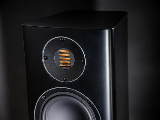 Elac Carina FS247.4 FS247.4 Paar Hi-Fi Lautsprecher Boden 120W 2.5 Anzahl von Fahrern B21.64xT20.47xH106cm. Schwarz