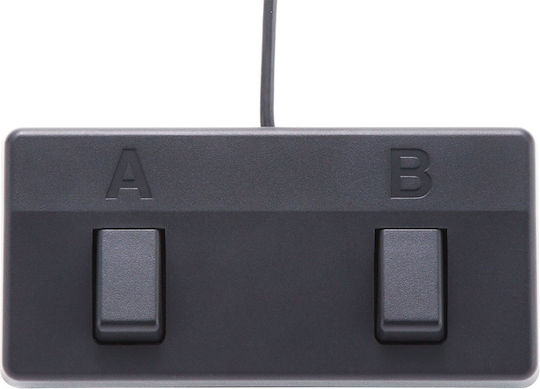 Boss Acoustic Singer Pro Combo Verstärker für akustische Instrumente 1 x 8" 120W Braun