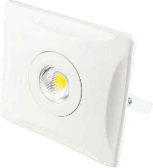 Spot Light Rezistent la apă Proiector LED 10W Alb Natural 4000K IP65