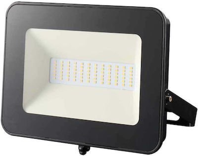 Lucas Waterproof LED Floodlight 100W Warm White 2700K IP66