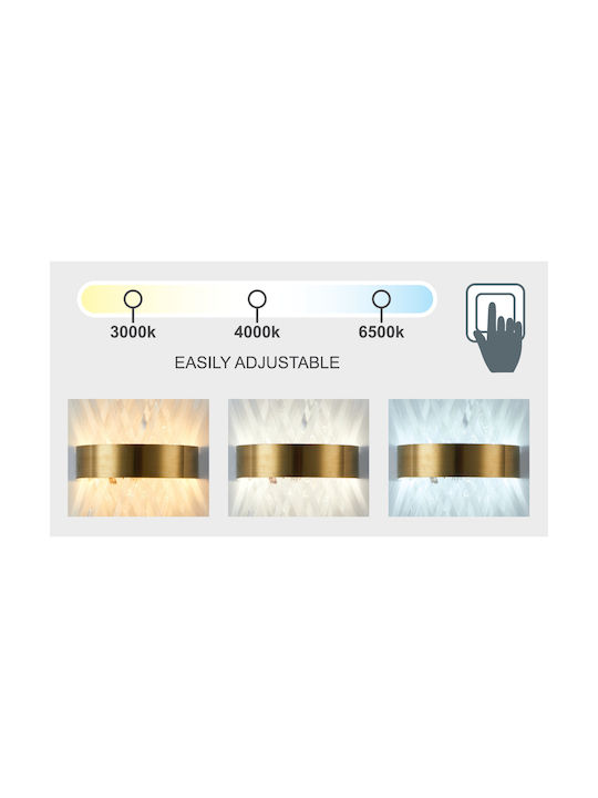 Home Lighting Xenic Modern Leuchte Wand mit Integrierter LED und Einstellbares Weißes Licht Gold 23x23x12cm
