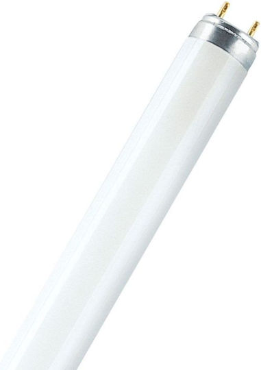 Philips Fluorescent Lamp for Socket G13 with Shape T8 18W
