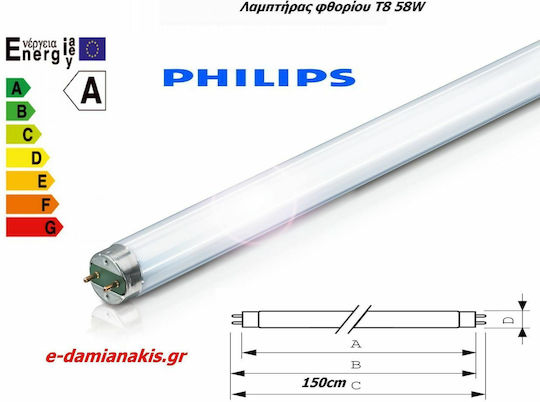 Philips SnoWWhite Λάμπα Φθορίου για Ντουί G13 με Σχήμα T8 58W