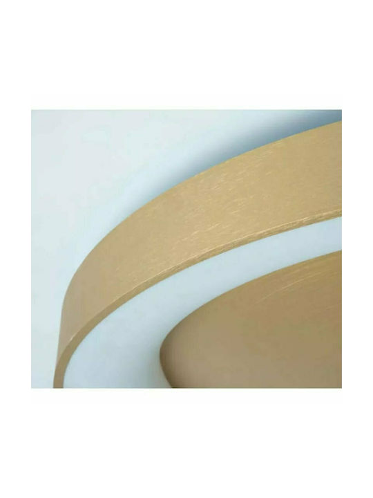 Home Lighting Ceiling Mount Light 80cm Gold with Integrated LED
