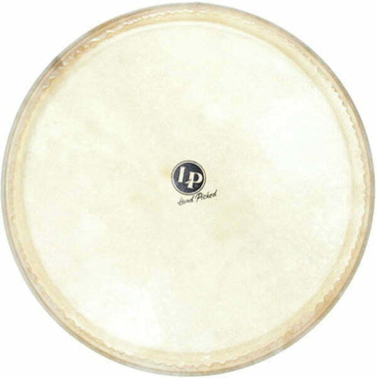 Latin Percussion Djembe Head Δέρμα κάσας για Κρουστά 14"