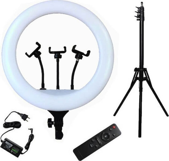 Factory YQ-460B Ring Light 43cm 3200 - 5600K with Tripod Floor and Mobile Holder