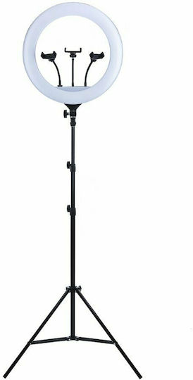Factory YQ-460B Ring Light 43cm 3200 - 5600K with Tripod Floor and Mobile Holder
