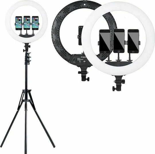 Factory YQ-460B Ring Light 43cm 3200 - 5600K with Tripod Floor and Mobile Holder