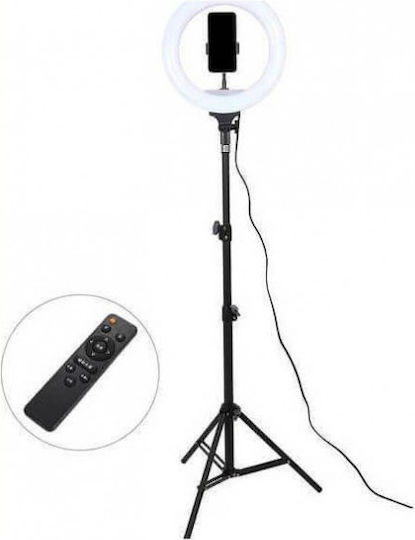 Andowl Ring Light 30cm 3200 - 5600K με Τρίποδο Δαπέδου και Βάση για Κινητό