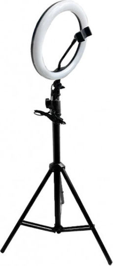 NetOne Selfie Ring Light 14in 3 Colours 2.2m Ring Light 35cm with Floor Tripod and Mobile Phone Holder