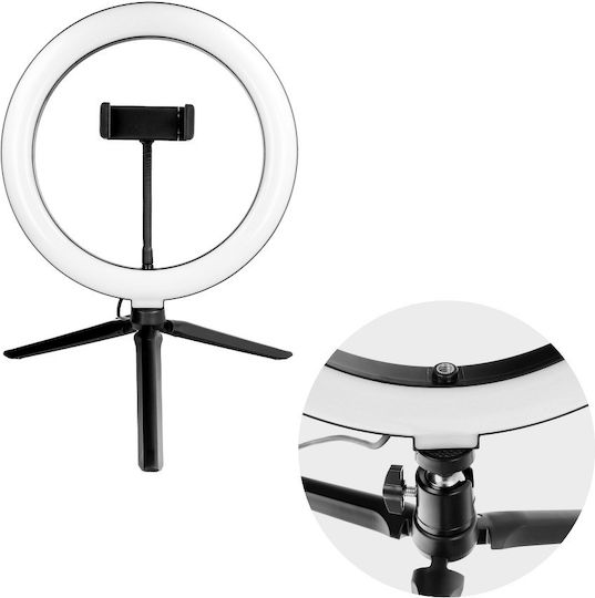 Ringlicht 25cm 2700 - 7000K mit Schreibtisch Stativ und Handyhalter