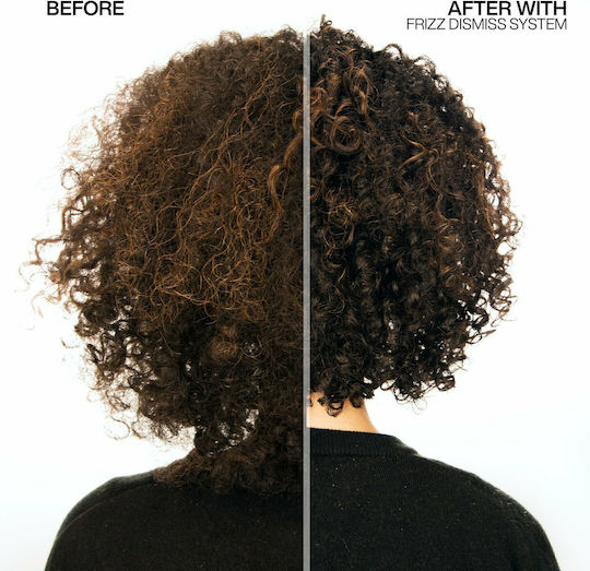 Redken Frizz Dismiss 2% Conditioner Feuchtigkeitsspendend für Frizzy Haare 300ml