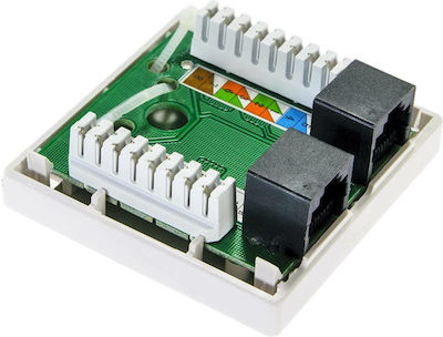 Lanberg Doppelter Externe Netzsteckdose RJ45 Typ Cat6 in Weiß Farbe OS6-0002-W