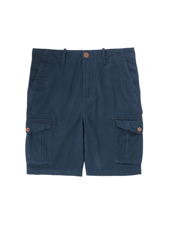 Quiksilver Kids Shorts/Bermuda Fabric Blue