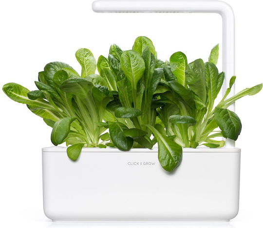 Click and Grow Σπόροι Μαρουλιού Romaine 3τμχ