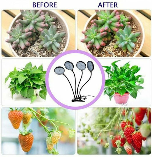 Desk Grow Light with LED and Power 60W