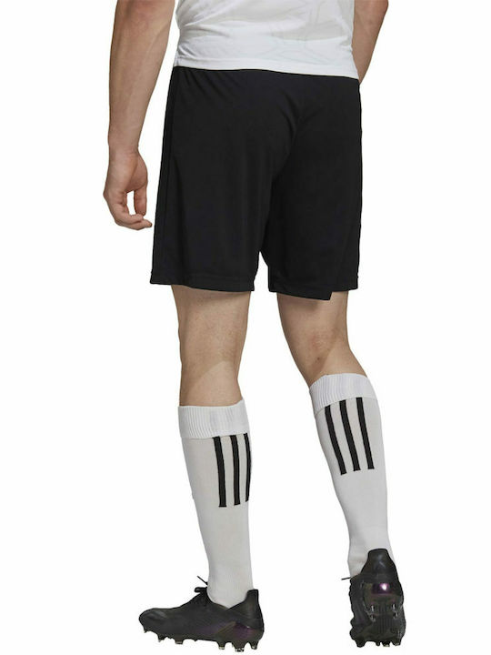 adidas adidas