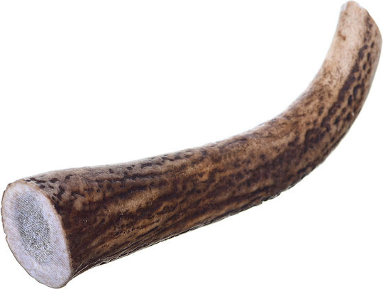 4Dogs Horn Hund Mittelgroße Rassen aus Hirsche 20cm 160gr DLZ4DOKSP0014