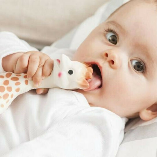Sophie La Girafe Sophie the Giraffe Teething Relief made of Rubber for 3 m+ 3pcs