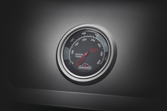 Napoleon Freestyle 365 Gasgrill Gusseisen Rost 51cmx45cmcm mit 3 cm 12kW