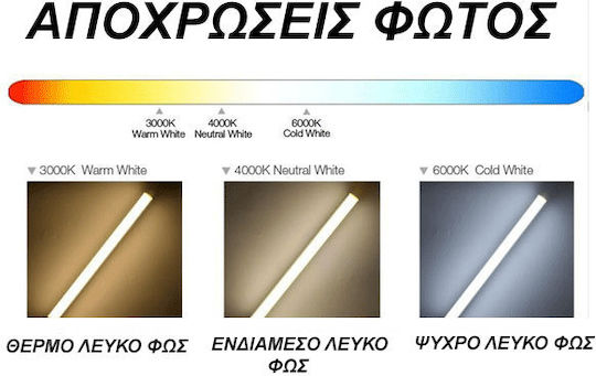 Diolamp LED Bulb 15W 118mm for Socket E27 and Shape A60 Warm White 1330lm
