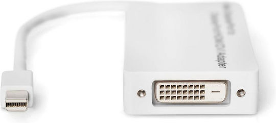 Digitus Converter mini DisplayPort male to DVI-D / DisplayPort / HDMI female White 1pcs DB-340509-002-W