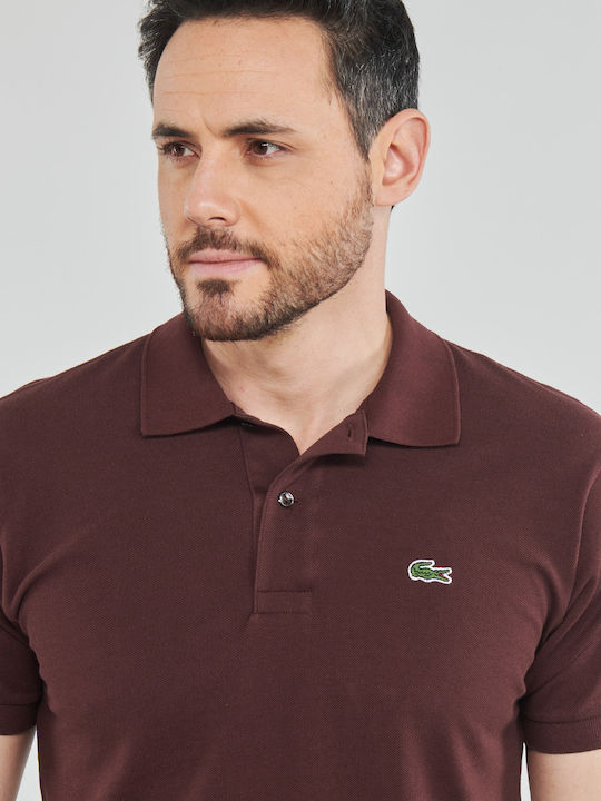 Polo Short Sleeve Blouse Burgundy