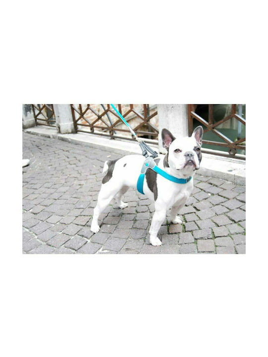 Pet Camelot Dog Harness Cinquetorri 4 Red 35-45cm C100RD040