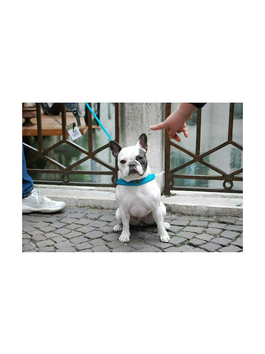 Pet Camelot Cinquetorri 3 Κόκκινο 30-40cm