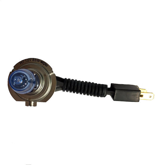 Racesport Lamps Car HB4-9006 Halogen 4300K Natural White 12V 85W 1pcs