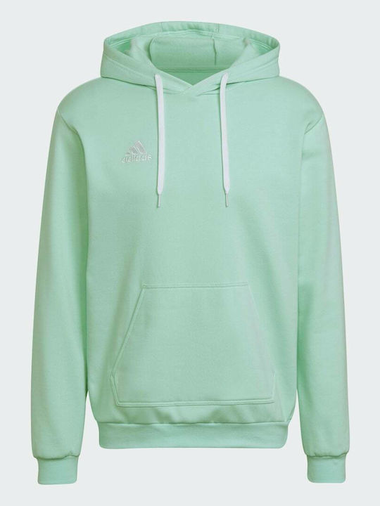 Entrada 22 Sweatshirt with Hood Clear Mint
