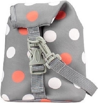 Dr. Brown's Baby Insulated Stainless Steel Bag