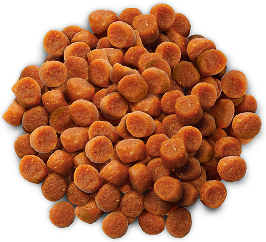 Hill's Prescription Diet Thyroid Care y/d Dry Food Gluten-Free for Adult Cats with Chicken 1.5kg