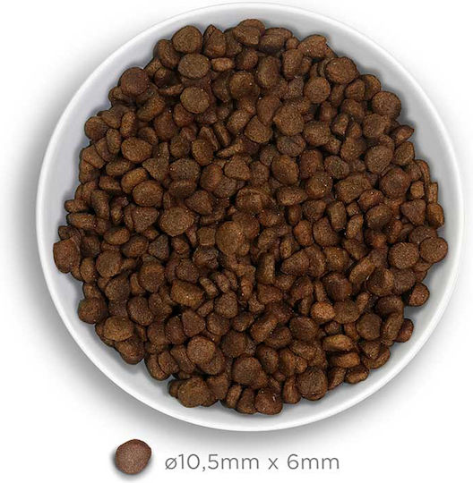 Amanova Adult Delight Dry Food Grain-Free & Gluten-Free for Adult Sterilized Cats with Turkey 1.5kg