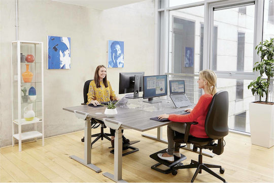 Fellowes Clarity Schreibtisch Halterung Monitor Transparent