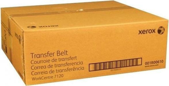 Xerox Transfergurt für Xerox 641S00782