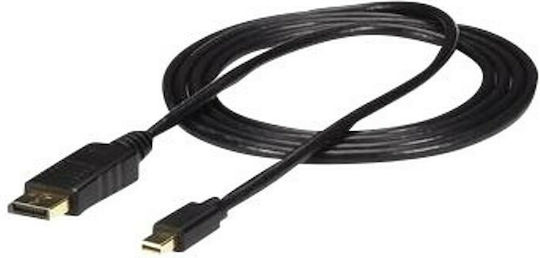 StarTech Cable mini DisplayPort male - DisplayPort male 1.8m Black (MDP2DPMM6)