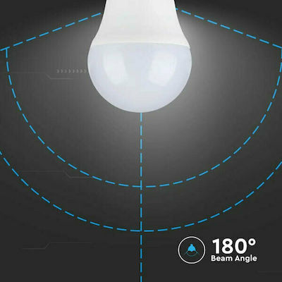 V-TAC VT-1830 LED Lampen für Fassung E27 und Form G45 Kühles Weiß 320lm 1Stück
