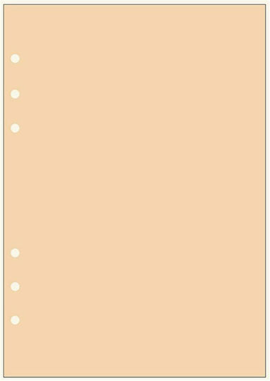 Contax Organizer Note Sheets 30 Refill Pads A5 Orange