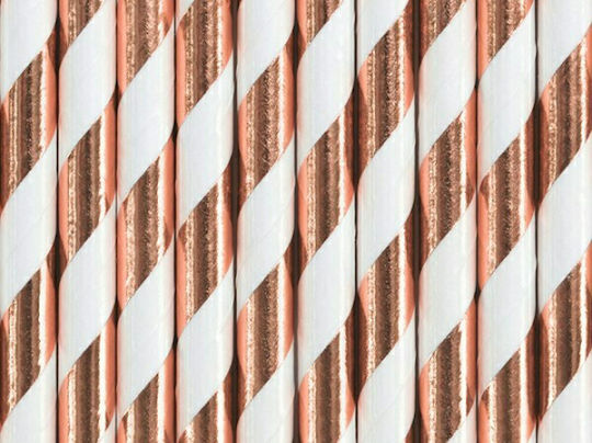 PartyDeco Paper Straws Light Rose Gold Calamakia Chartina 10 Pieces