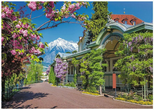 Merano Italy Puzzle 2D 2000buc