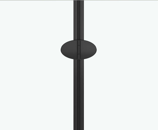 vidaXL Divider de verandă Cada de baie cu Pliabil Ușă 120x140cm Negru