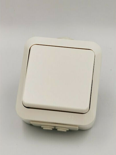 Bassiakos Aqua Waterproof Wall-Mounted Electrical Wall Switch One-Way With White Frame L1111